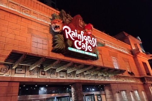 Sign of Rainforest Cafe illuminated at night, featuring jungle-themed decorations and animal sculptures.