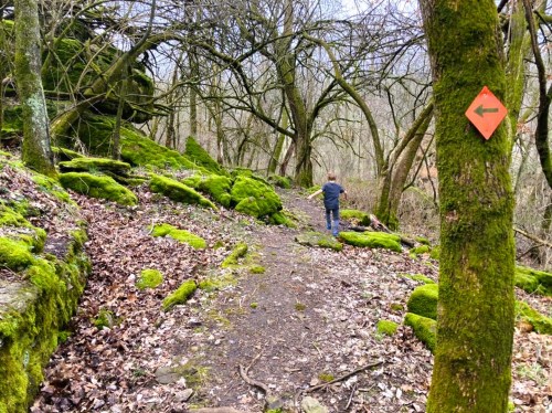 A person walks along a mossy trail in a wooded area, with a directional sign on a tree.