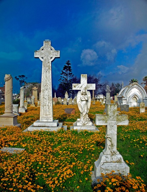 A serene cemetery scene with ornate crosses and statues surrounded by vibrant yellow flowers under a blue sky.