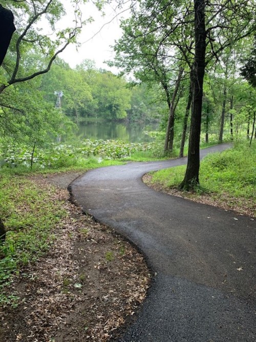 A winding path through lush greenery leads to a serene pond surrounded by trees.