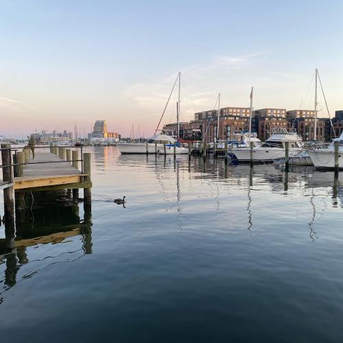 A calm harbor at sunset, featuring boats docked along a wooden pier and reflections on the water.