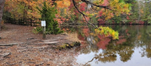 A serene lake surrounded by vibrant autumn foliage and a wooden fence, reflecting colorful trees in the water.