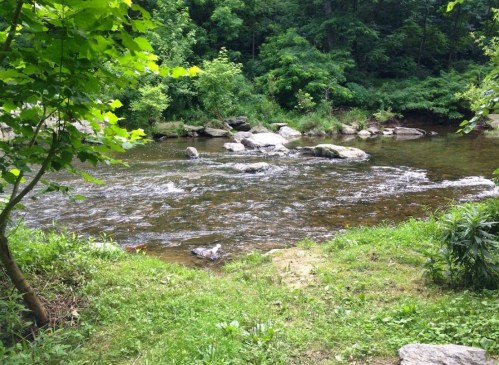 A serene river flows through a lush green landscape, surrounded by trees and rocks.