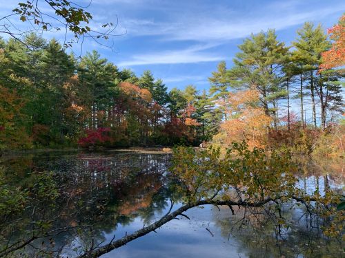 A serene pond surrounded by colorful autumn trees under a clear blue sky. Reflections shimmer on the water's surface.