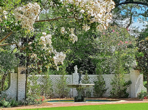 A serene garden scene featuring a fountain surrounded by lush greenery and blooming white flowers under a clear blue sky.