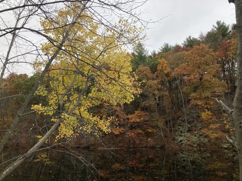 A serene lake surrounded by trees with autumn foliage in shades of yellow, orange, and green under a cloudy sky.
