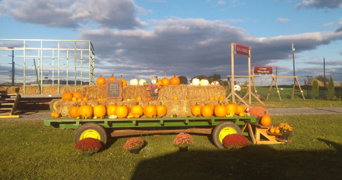 A colorful display of pumpkins on a wagon surrounded by hay bales and flowers under a cloudy sky.