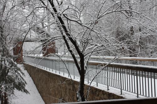 A snowy landscape featuring a bare tree and a pathway with a railing, surrounded by a serene winter scene.