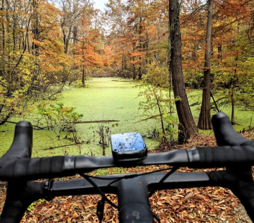 A bike handlebar in the foreground with a scenic view of a pond surrounded by autumn foliage.