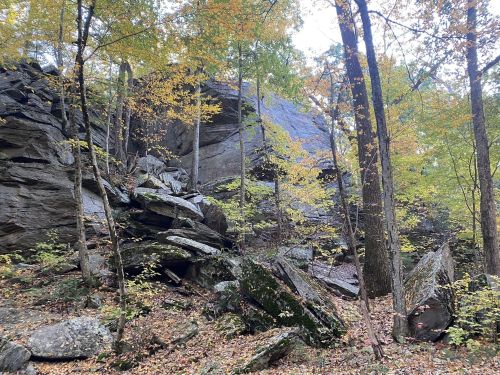 A rocky hillside surrounded by trees with autumn foliage, showcasing large boulders and a serene natural landscape.