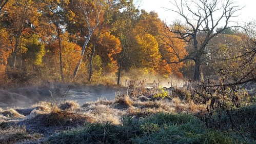 A serene autumn landscape with colorful trees, mist rising over a frosty field, and a wooden fence in the background.