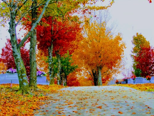 A serene pathway lined with colorful autumn trees and scattered leaves, leading through a peaceful cemetery.