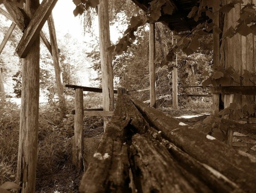 A weathered wooden railing leads through an overgrown, rustic area with trees and sunlight filtering through.