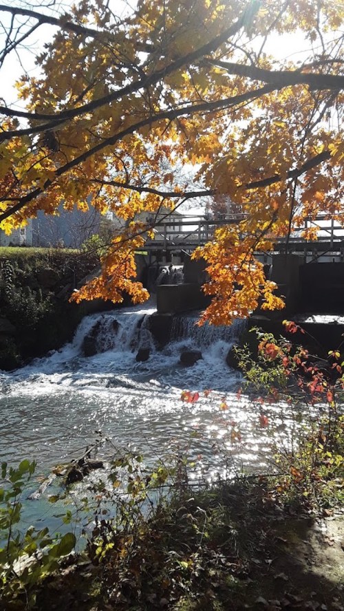 A serene scene of a small waterfall under a bridge, framed by vibrant autumn leaves and sunlight reflecting on the water.