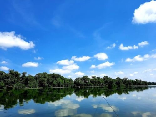 A serene lake reflecting a blue sky with fluffy clouds, surrounded by lush green trees.