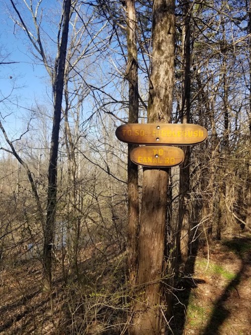 Wooden trail sign in a forest, indicating directions to "50" and "Eamard," with trees and a clear blue sky in the background.