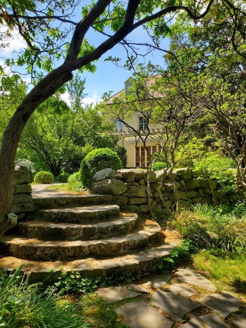 A stone pathway leads to a charming house surrounded by lush greenery and trees under a bright blue sky.