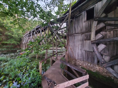 A weathered wooden structure on stilts beside a lush, green pond, surrounded by trees and foliage.