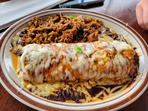 A plate featuring a cheesy burrito with rice, topped with sauce and garnished with green onions.