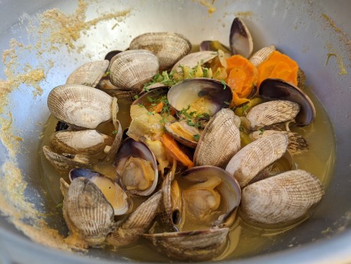 A bowl of clams cooked in broth with herbs and vegetables, showcasing a mix of shells and vibrant colors.