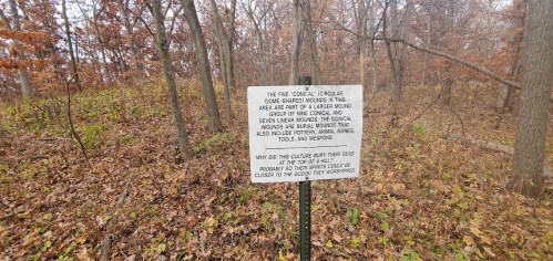 Sign in a wooded area explaining the historical significance of nearby circular mounds and their archaeological context.