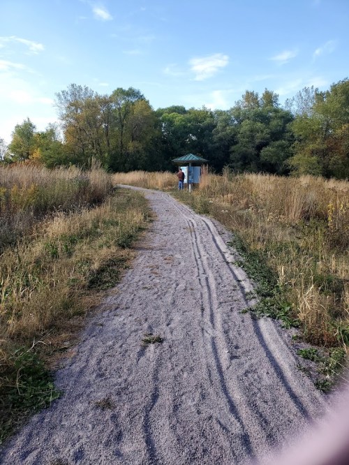 A winding gravel path through tall grass, leading to a small shelter surrounded by trees under a clear blue sky.