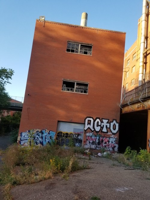 Abandoned brick building with graffiti on the walls, surrounded by overgrown vegetation and a clear blue sky.