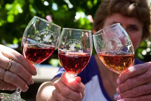 Three hands holding wine glasses filled with red and rosé wine, toasting outdoors in a sunny setting.