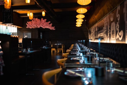 A modern restaurant interior with long tables, stylish lighting, and cherry blossom decor on the wall.