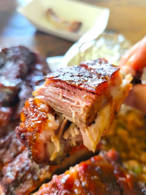 A close-up of a juicy, grilled piece of meat being held, showcasing its crispy exterior and tender interior.
