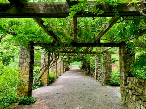 A serene garden path lined with stone pillars and lush green vines overhead, creating a tranquil, shaded walkway.