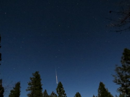 A night sky filled with stars, featuring a bright meteor streaking down above silhouetted trees.