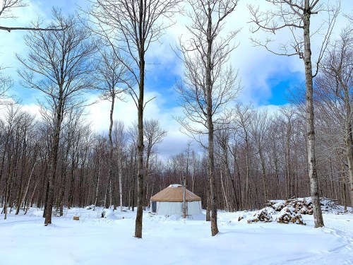 A snowy landscape with bare trees and a small cabin in the distance under a partly cloudy sky.