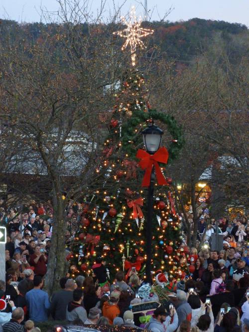 A festive crowd gathers around a decorated Christmas tree topped with a star, surrounded by trees and buildings.