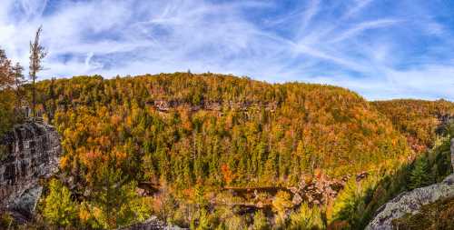 A panoramic view of a vibrant autumn landscape with colorful trees and a clear blue sky.