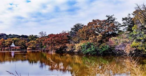 A serene lake surrounded by trees in vibrant autumn colors under a cloudy sky.