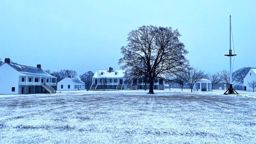A snowy landscape featuring historic white buildings, a large tree, and a flagpole under a gray sky.
