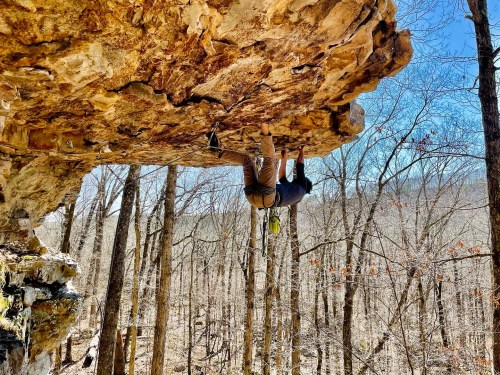 A climber hangs upside down from a rock overhang in a wooded area, surrounded by bare trees and a clear sky.