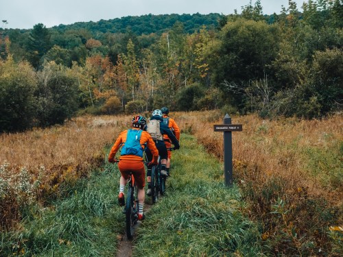 Three mountain bikers ride along a grassy trail in a forested area, with autumn foliage in the background.
