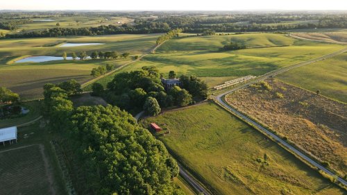 Aerial view of lush green fields, a winding road, and a small farmhouse surrounded by trees under a clear sky.