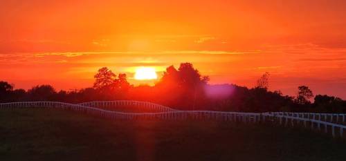 A vibrant sunset casts orange hues over a landscape with trees and a white fence in the foreground.
