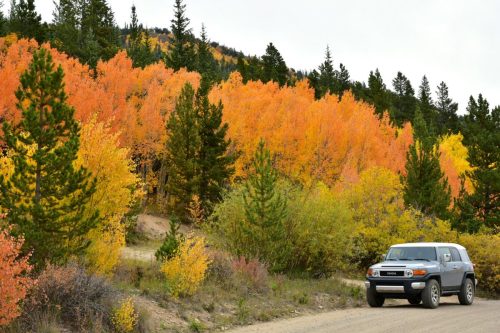 A gray SUV parked on a dirt road beside vibrant autumn trees in shades of orange and yellow.