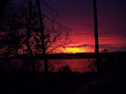 A vibrant sunset over a lake, with silhouetted trees framing the colorful sky in shades of pink and purple.