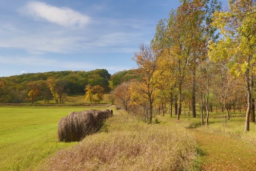 A serene landscape featuring hay bales, grassy fields, and trees with autumn foliage under a blue sky.