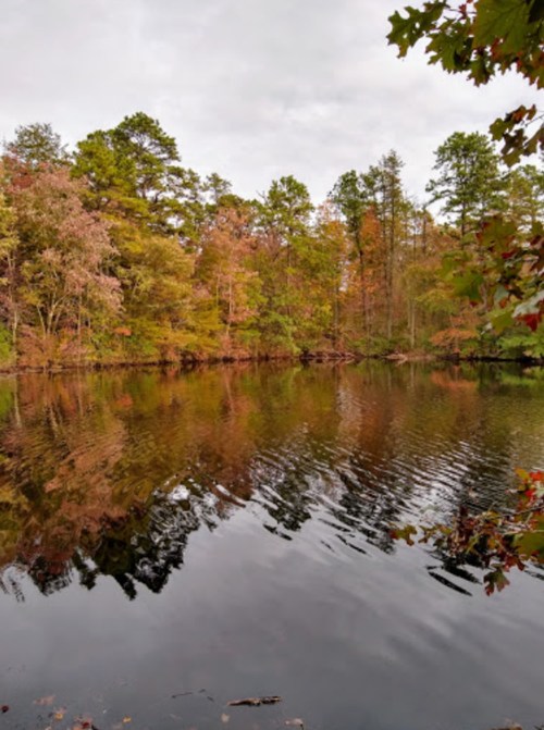 A tranquil lake surrounded by trees displaying autumn colors, reflecting the scenery on a cloudy day.