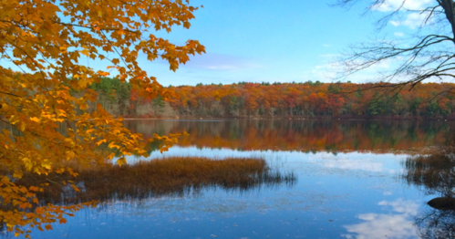 A serene lake surrounded by autumn foliage, reflecting colorful trees under a clear blue sky.