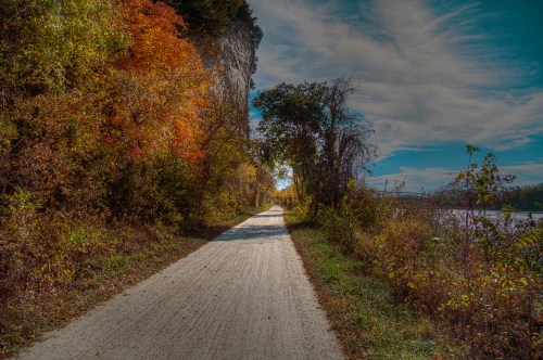 A scenic pathway lined with colorful autumn trees, leading towards a bright horizon by a river.