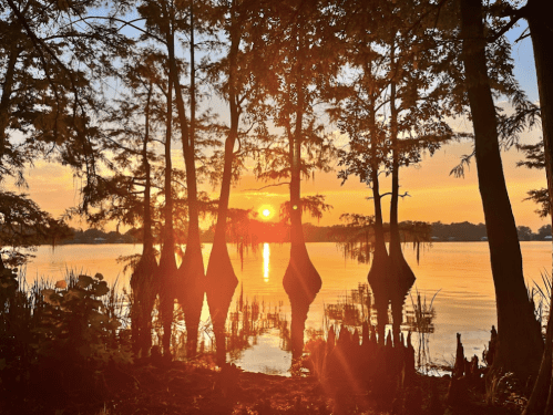 Sunset over a calm lake, framed by silhouetted trees and reflections on the water's surface.