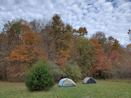 Two tents set up in a grassy area surrounded by trees with autumn foliage under a cloudy sky.