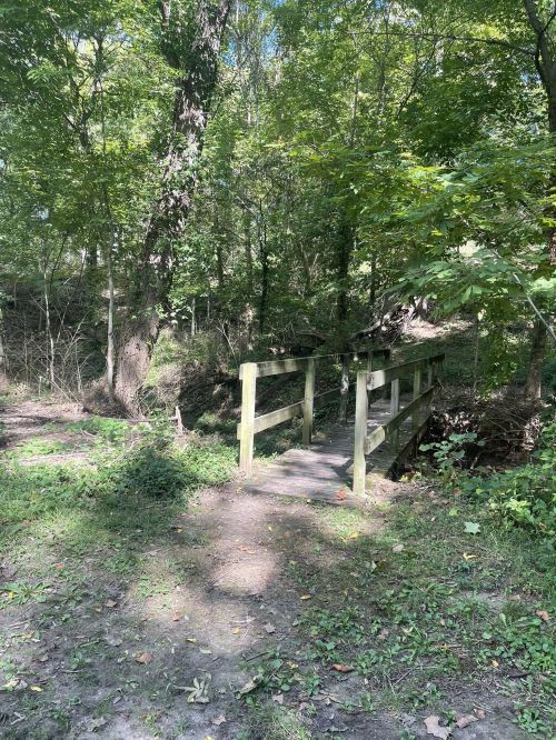 A small wooden bridge over a creek, surrounded by lush green trees and foliage in a peaceful forest setting.
